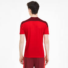 Discover and download free foot png images on pngitem. Suisse Men S Home Replica Jersey Puma Red Pomegranate Puma Switzerland Puma Germany
