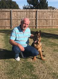 German shepherds of the ozarks puppies Red Rock K9 German Shepherds