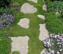 It is rugged enough to walk on and releases a pleasant scent when crushed, so plant it in between pavers or next to a pathway. Cullen Hug The Ground These Plants Do The Star