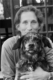 David Brookover — The Brookover Gallery