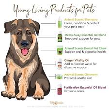 Pin On With Your Animals