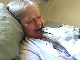 Amanda Goodell's Instagram, Twitter & Facebook