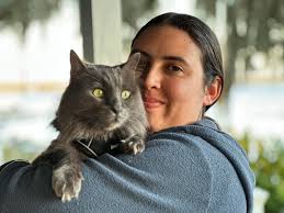 I want to adopt a nebelung kitten 🥺(Groton, Connecticut)