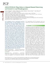Check spelling or type a new query. Https Academic Oup Com Pcp Article Pdf 52 1 112 17113981 Pcq178 Pdf
