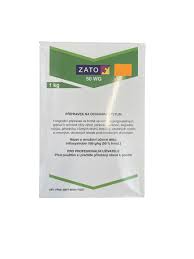 Image result for Metasphaeria diplodiella