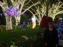 Boku no hero academia | my hero academia 5th seasonoutro song title: Tampa Busch Gardens Christmas Town Tree Lights Eri Flickr