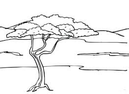 Open any of the printable files above by clicking the image or the link below the image. 35 Free Tree Coloring Pages Printable