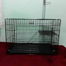 Cara membuat kandang kucing dari pipa ini sangat mudah. 5 Rekomendasi Desain Kandang Kucing Persia Minimalis
