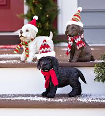 Labrador retriever puppies for sale of this quality are in demand. Holiday Labrador Puppy Statue With Hat And Scarf Plowhearth