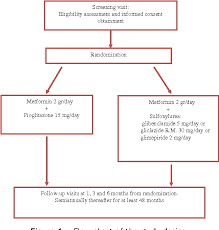 Figure 1 From Addition Of Either Pioglitazone Or A