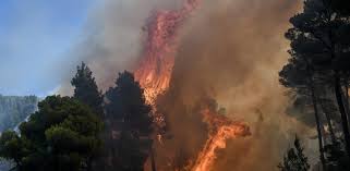 Η φωτιά ξέσπασε σε ξερά χόρτα επί της οδού πεύκης στην περιοχή βρανά. Fwtia Twra Sthn Eyboia Se Katastash Ektakths Anagkhs To Nhsi E8nos