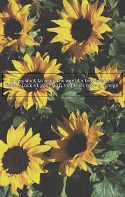 Michael Jackson Man In The Mirror Lyrics Wallpaper Sunflowers Background Sunflower Wallpaper Sunflower Iphone Wallpaper