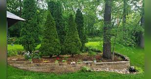 First, you'll want to read the label (and perhaps do some investigating) on the specific arborvitae you're wanting to plant, to see what. Retaining Wall With Pond Project By Viet At Menards