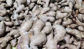 Maybe you would like to learn more about one of these? Berapa Harga Jahe Terkini Dan Terlengkap Beserta Infonya Aplikasi Pertanian Media Agribisnis Gdm Agri