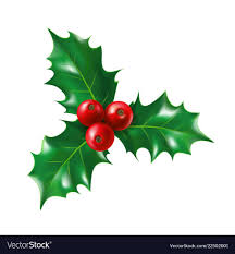Isolated Holly Berry With Leaves Ilex Berries On Sprig With Leaf Plant For New Y Merry Christmas Decoration Paper Christmas Decorations Christmas Decorations