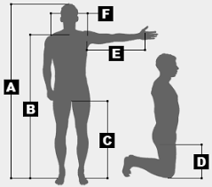 Bicycle Fit Calculator Oleary Built Bicycles