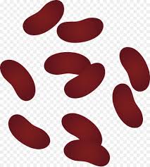 Arroz Y Frijoles Los Frijoles Rojos Y Arroz Frijol Pinto Imagen Png Imagen Transparente Descarga Gratuita