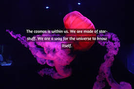 Best Stars Quotes Readershook