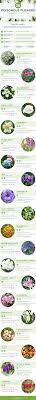 Pin On Toxic For Cats Plants