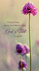 Inspirational Quotes From The Quran Phone Wallpaper Pretty Phone Wallpaper Phone Wallpaper Purple Flowers