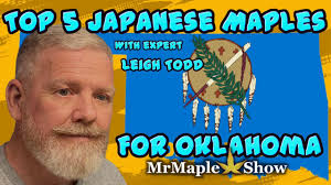 Top 5 Japanese Maples For Oklahoma with Leigh Todd!
