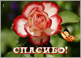      -    otkritkiok.ru