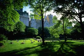 Maybe you would like to learn more about one of these? Wallpaper Sunlight Trees People Garden Architecture Grass Park New York City Central Park Backyard Estate Tree Flower Yard Lawn Woody Plant 2919x1967 Gyasaamano 249424 Hd Wallpapers Wallhere
