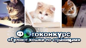 Праздник «всемирный день кошек» в 2021 году отмечается 8 августа, в воскресенье. Fotokonkurs Gulyayut Koshki Po Stranicam