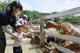 動物との触れ合い満喫 成田ゆめ牧場１カ月半ぶり再開 親子連れら行列 千葉日報オンライン
