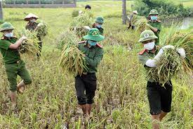 Cơ quan, tổ chức, cá nhân tham gia, phối hợp, cộng tác, giúp đỡ công an nhân dân trong bảo vệ an ninh quốc gia, bảo đảm trật tự, an toàn xã hội, đấu tranh phòng, chống tội phạm và vi phạm pháp luật thì tùy theo công trạng được xét khen thưởng theo quy định của pháp. Chiáº¿n SÄ© Cong An Giup Dan Gáº·t Lua Trong Mua Dá»‹ch Covid 19 Bao Cong An Nhan Dan Ä'iá»‡n Tá»­