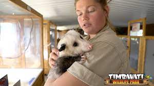No One Is Playing Possum Around Here Not Even The Virginia Opossum Spring Break Isn T A Good Time To Play Possum Ei Cute Little Animals Wildlife Park Opossum