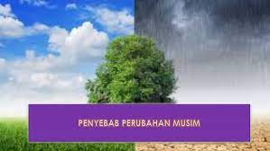 Sebetulnya Apa Sih Penyebab Perubahan Musim Itu Belajar Mipa