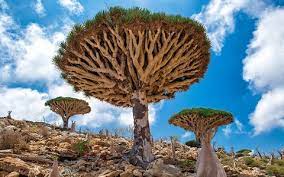 Check spelling or type a new query. 14 Of The World S Most Fascinating Remote Places Travel