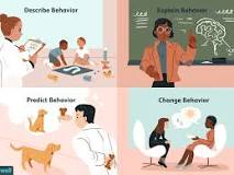 Image result