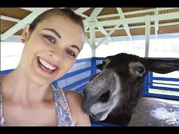 Albergue Bromelias 2016