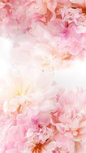 Flower Flower Background Iphone Floral Wallpaper Flower Phone Wallpaper