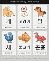 Basic Korean Animals Korean Language Korean Words Korean Phrases