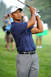 The majority of tiger's wealth comes from the prize. Tiger Woods Wikipedia