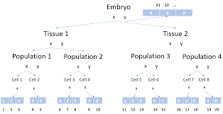 Image result for Science Math Differential Equations Software