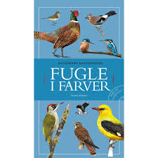 Politikens store fuglebog by tommy dybbro | librarything. Fugle I Farver Inkl Cd Haeftet Kob Produktet Online Her For Kr 175 00 Coop Dk