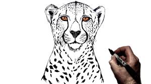 Free & simple drawing tutorials for kindergarten. How To Draw A Cheetah Step By Step Youtube