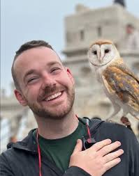 What are some moving company recommendations for a local move within Wellen?