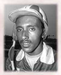 Horse of the Year Trotter