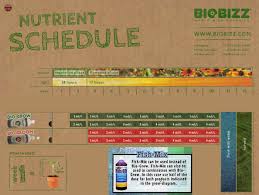 60 logical bio bizz bloom feeding chart