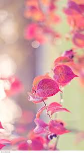 Tons of awesome cool 4k wallpapers to download for free. Girly Cute Cool Wallpaper Novocom Top