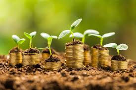 Growing a money tree houseplant. Understanding Small Business Cash Flow Factor Finders