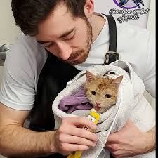 Mobile nail trim appointments opening this week