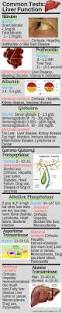 Image result for Liver Function Test