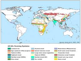 Sustainability And Global Food Systems Global Recipes Farming System System