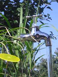pin auf wasser im garten